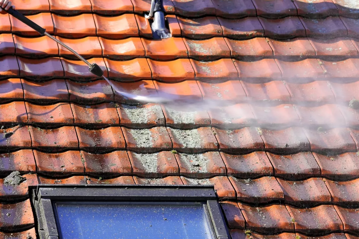 Pourquoi effectuer un démoussage de toiture ?